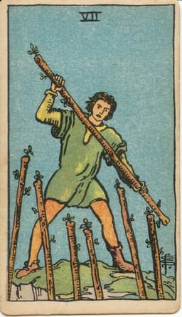 7 of Wands